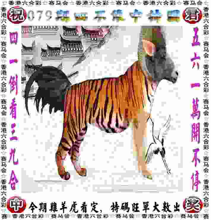 巴黎奥运激发爱国热情，带动全民健身运动浪潮